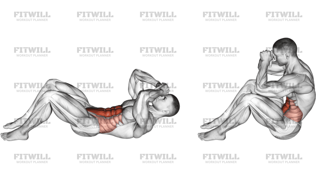 Muscles used best sale during sit ups