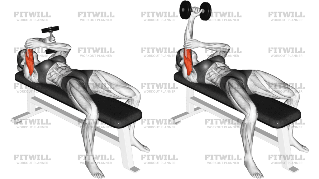 How to do Dumbbell Lying One Arm Pronated Triceps Extension: Techniques ...