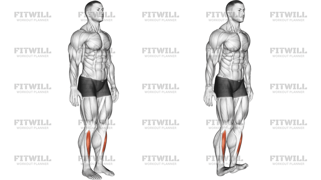 How To Do Standing Gastrocnemius Calf Stretch Techniques Benefits Tips And Tricks Fitwill 5554