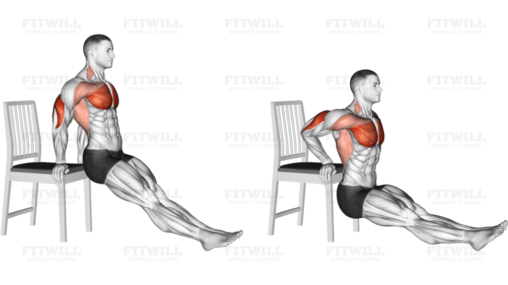 Seated Exercises - Fit Tips For Pros