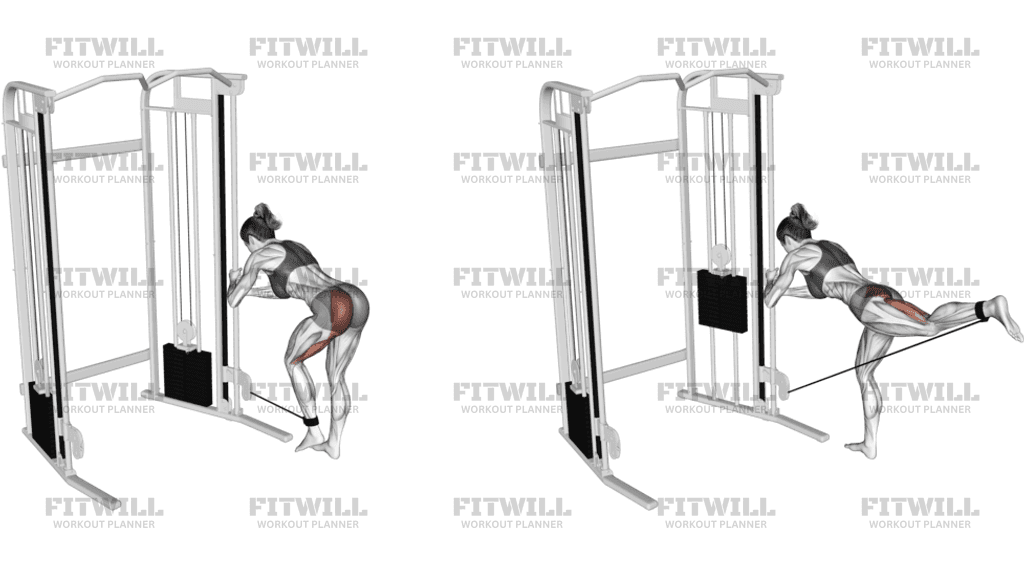 How to perform the pulley kickback exercise correctly?