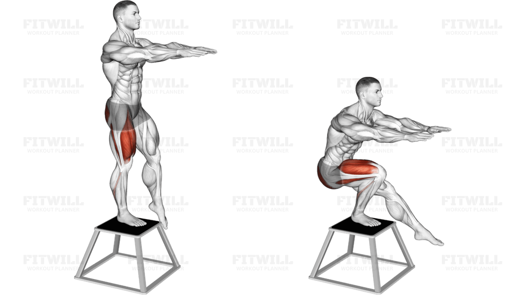 How to do Elevated Single Leg Squat: Techniques, Benefits, Tips