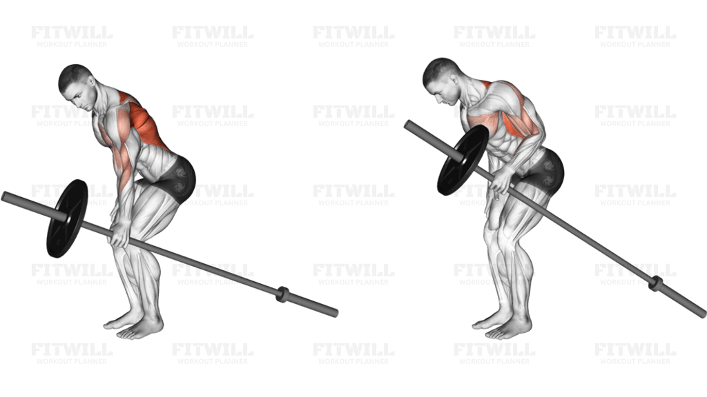 Barbell One Arm Bent over Row