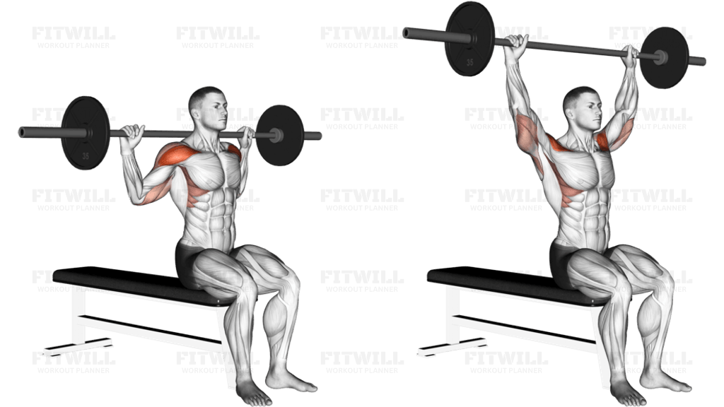 Barbell Seated Behind Head Military Press