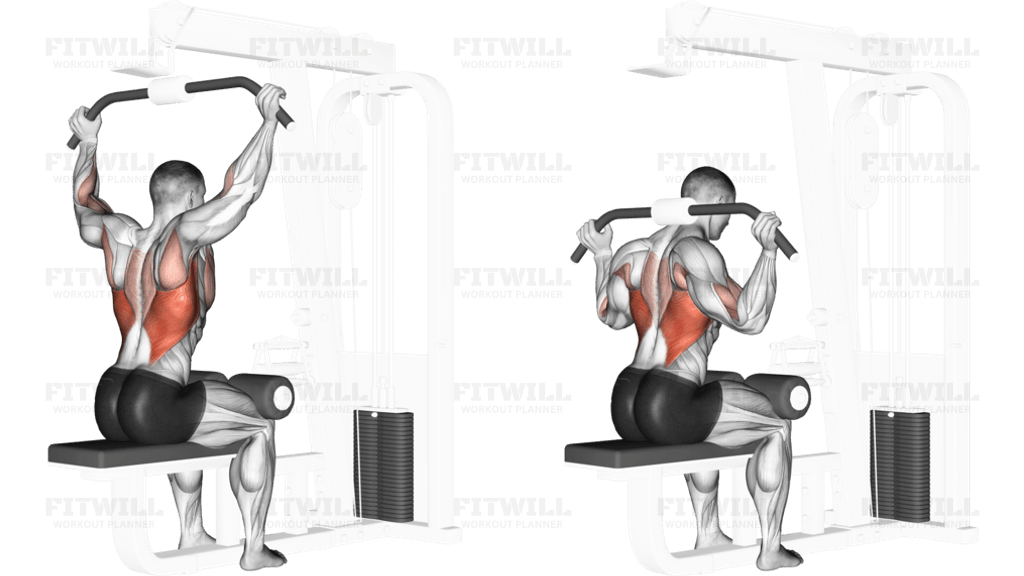 Cable Rear Pulldown