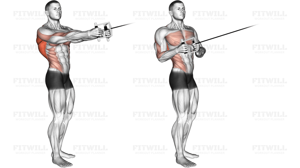Cable Standing Twist Row (V-bar)