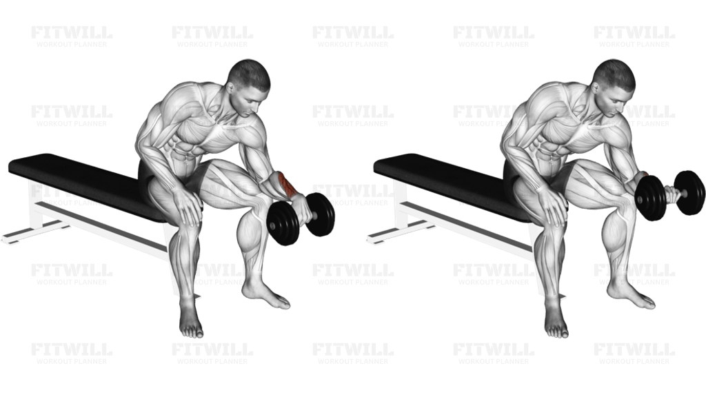 Dumbbell One Arm Revers Wrist Curl