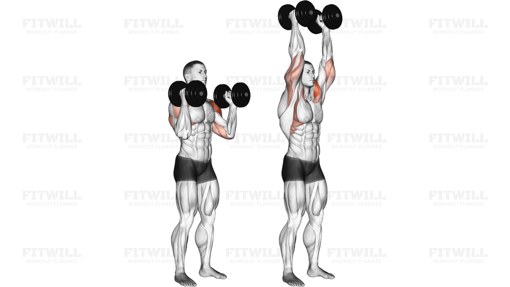 Dumbbell Standing Palms In Press