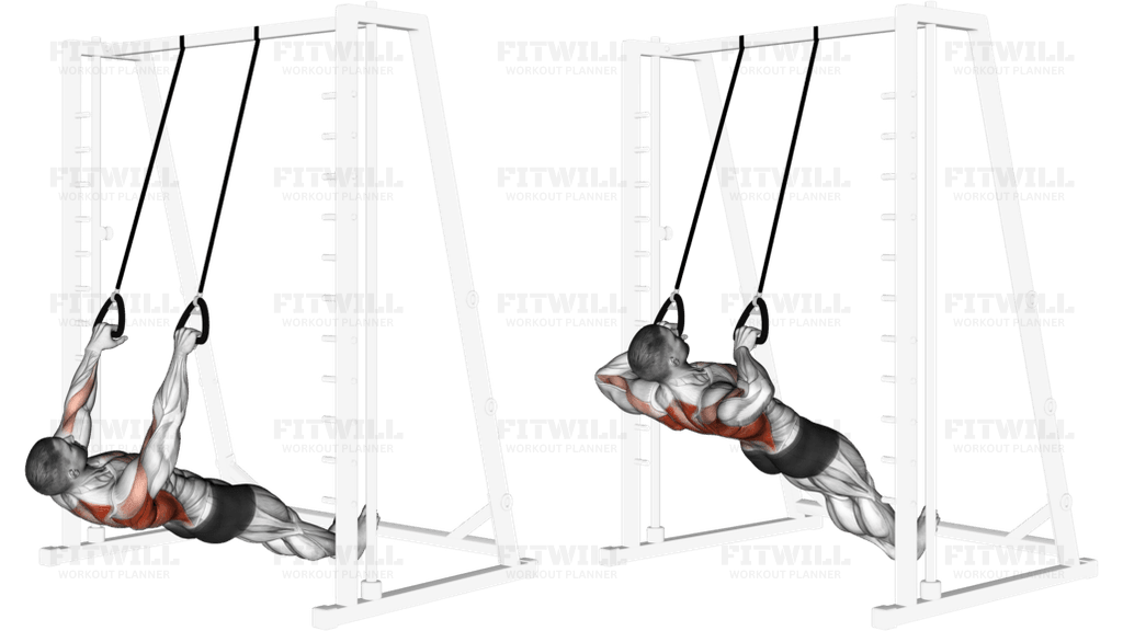 Inverted Row with Straps