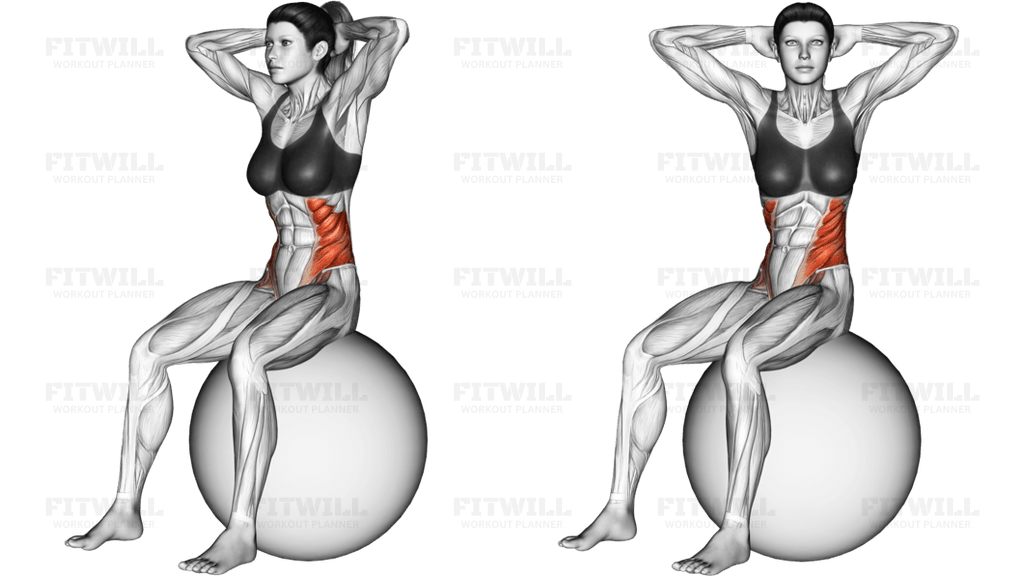 Seated Twist (on stability ball)