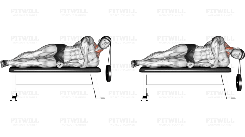 Weighted Lying Side Lifting Head (with head harness)