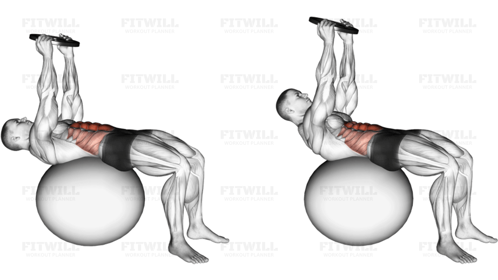 Weighted Overhead Crunch (on stability ball)