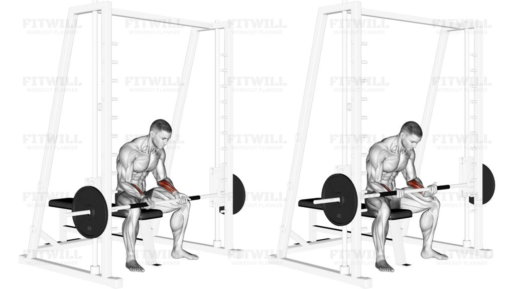 Smith Seated Wrist Curl