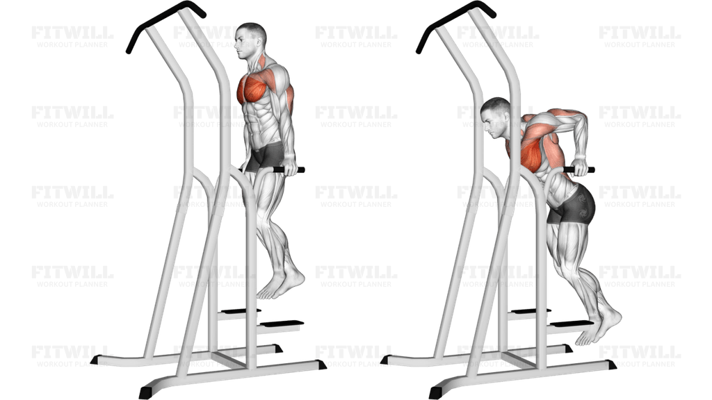 Chest Dip (on dip-pull-up cage)