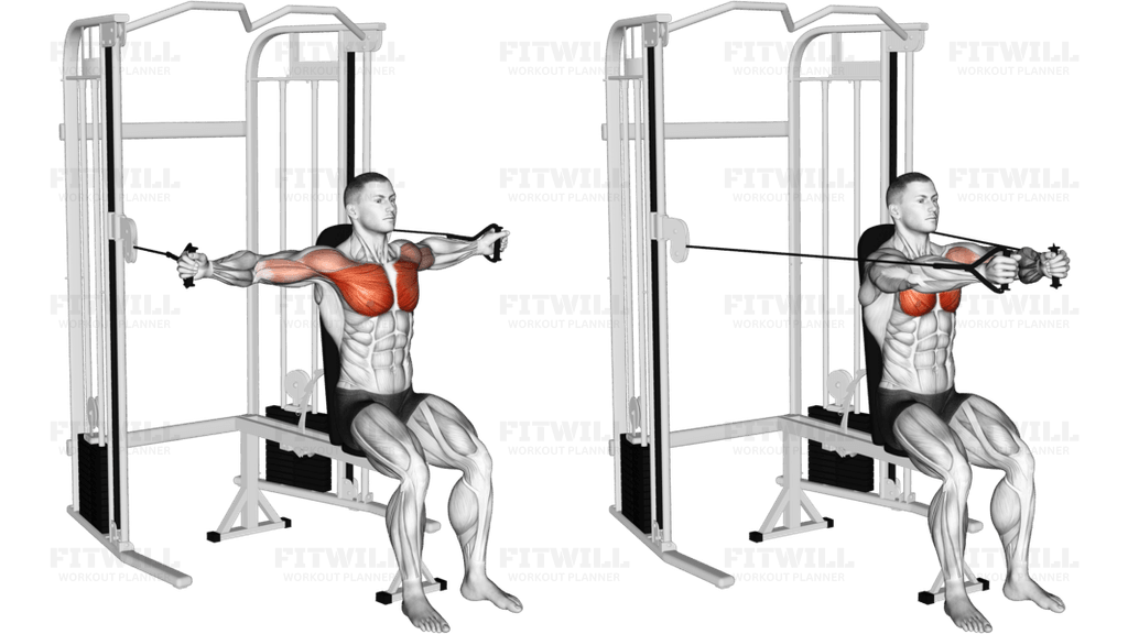 Cable Seated Chest Fly