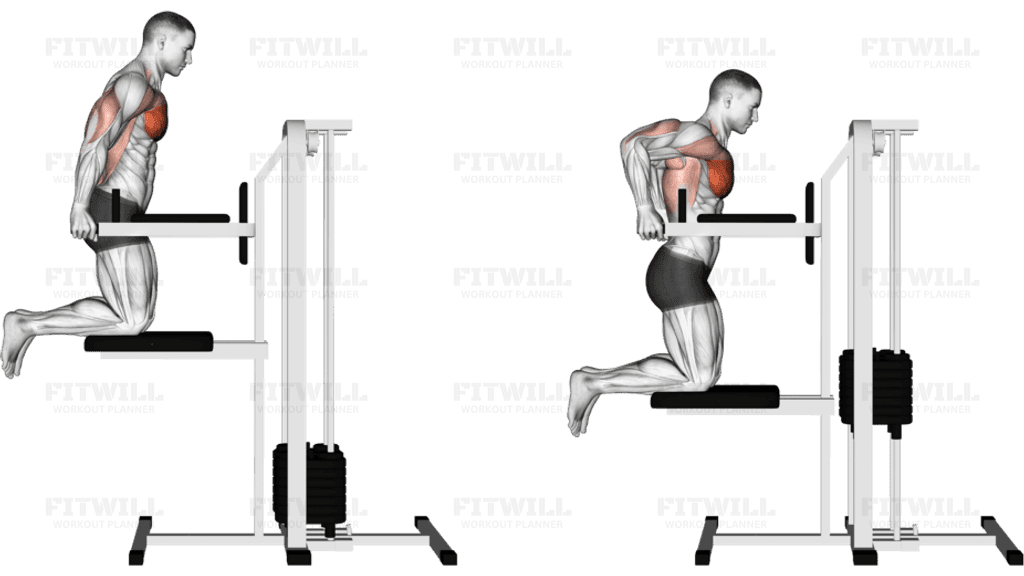 Assisted Chest Dip (kneeling)