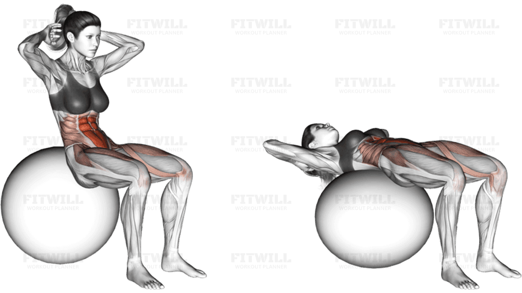 Ball Sit-up (on stability ball)