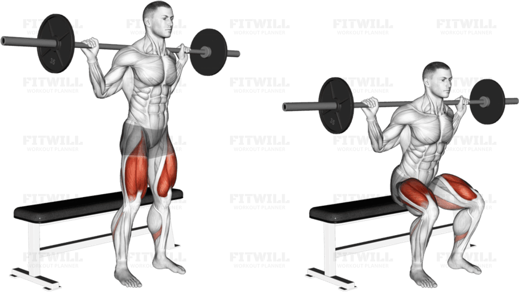 Barbell Bench Squat