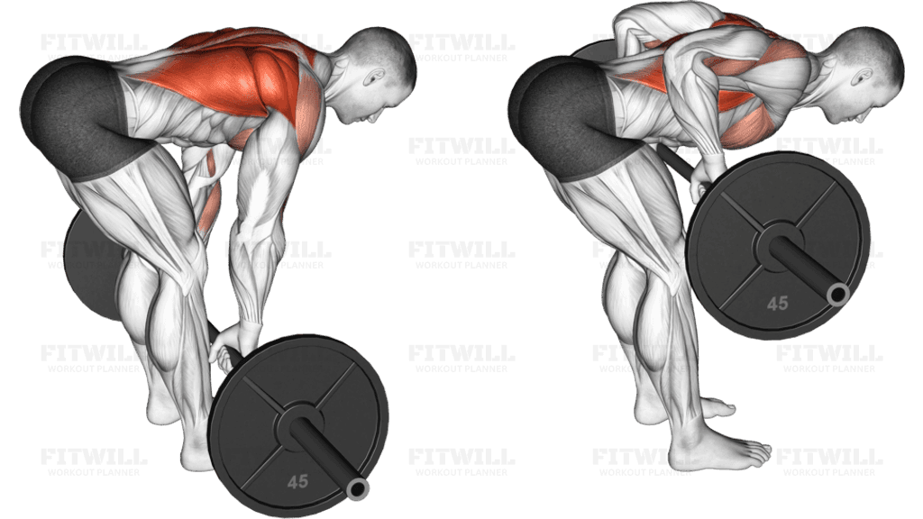 Barbell Bent Over Row