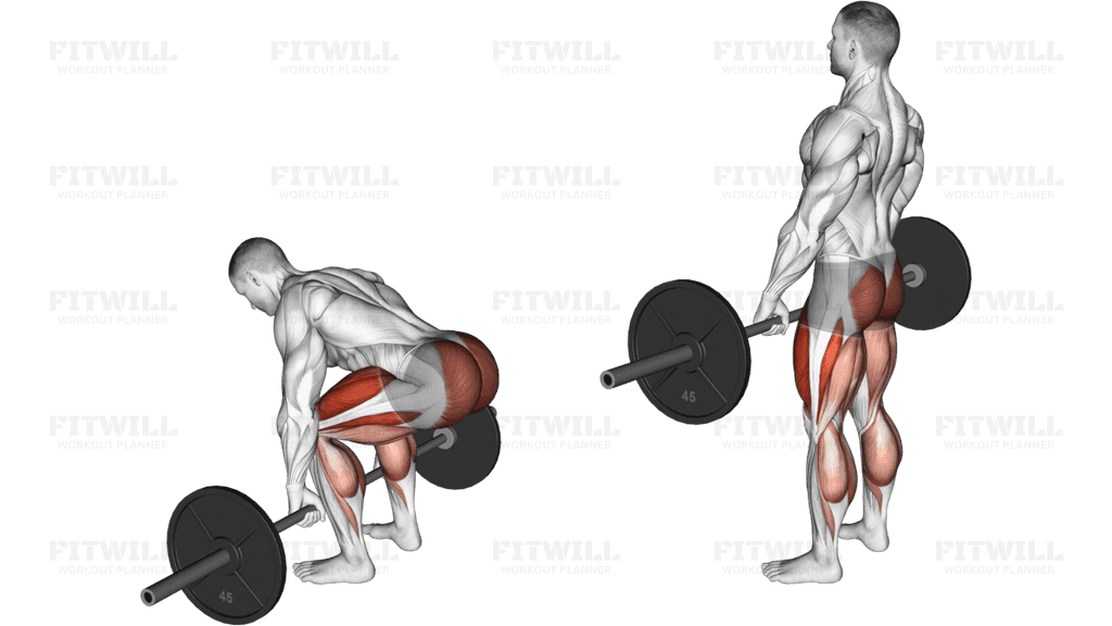 Barbell Deadlift