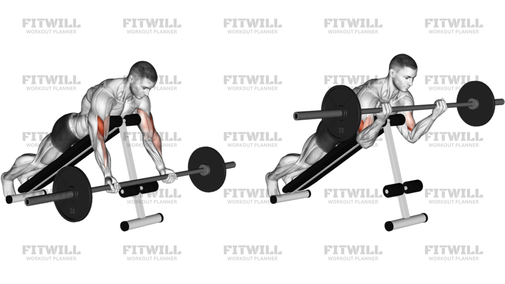 Barbell Prone Incline Curl