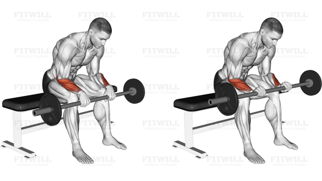 Barbell Revers Wrist Curl (version 2)