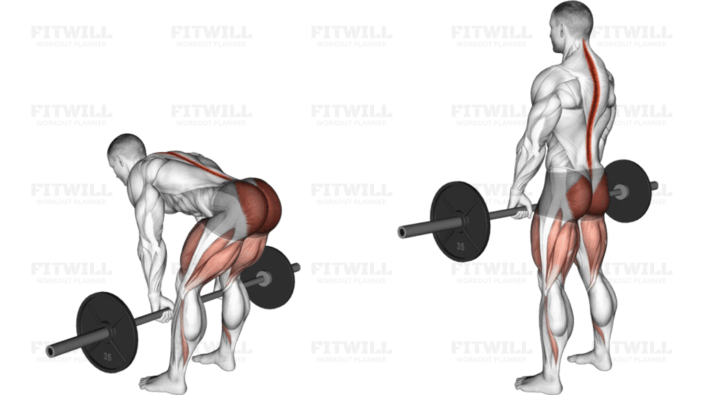 Barbell Romanian Deadlift