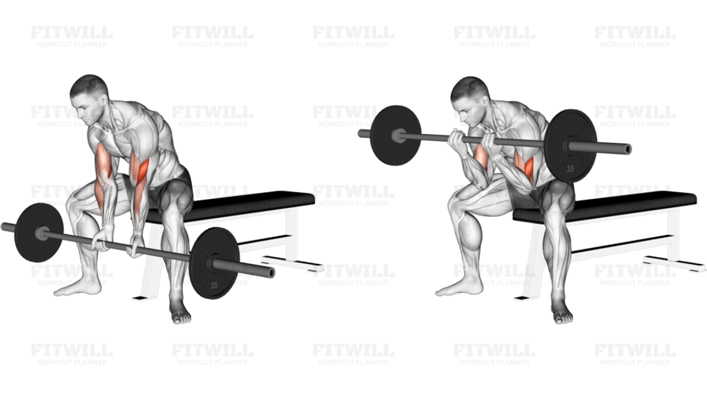 Barbell Seated Close-grip Concentration Curl