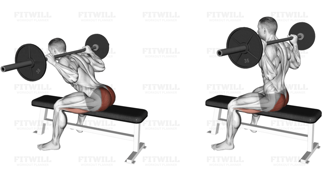 Barbell Seated Good morning