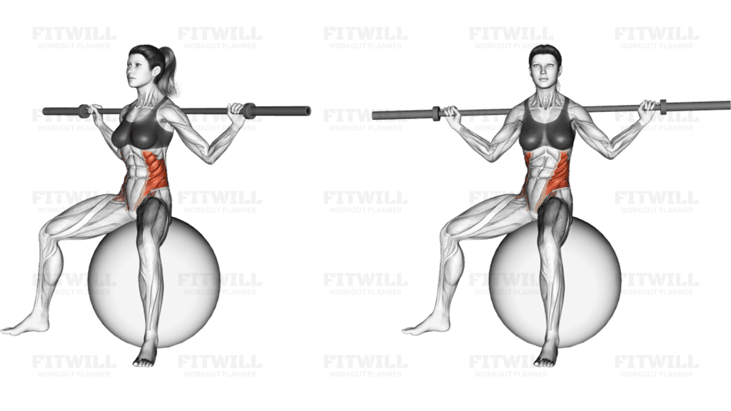 Barbell Seated Twist (on stability ball)