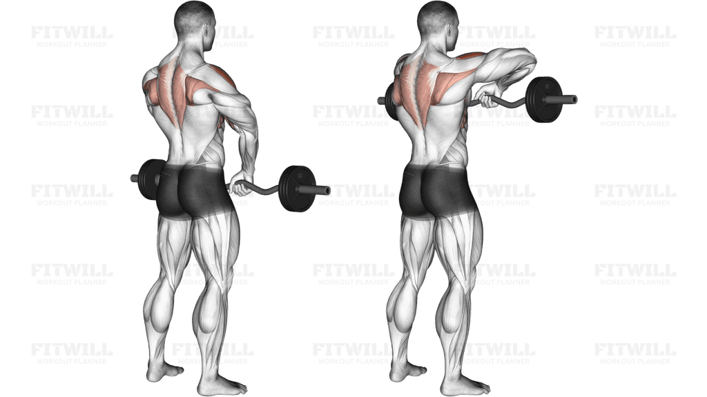 Barbell Upright Row