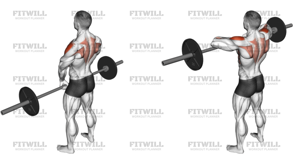 Barbell Upright Row