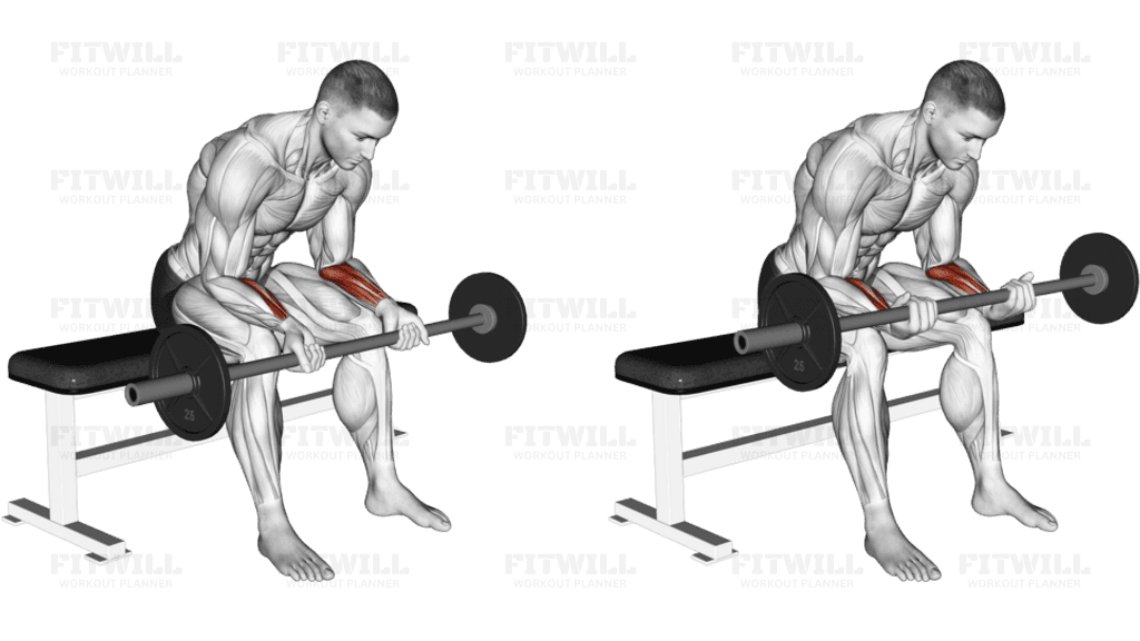 Barbell Wrist Curl (version 2)