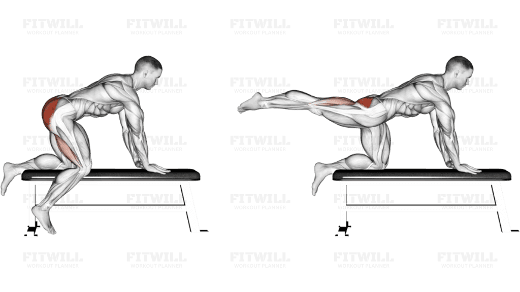 Kneeling Leg Raise On Bench