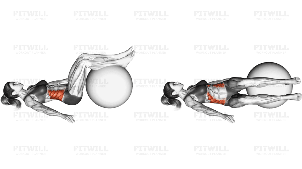 Bent-knee Lying Twist (On Stability Ball)