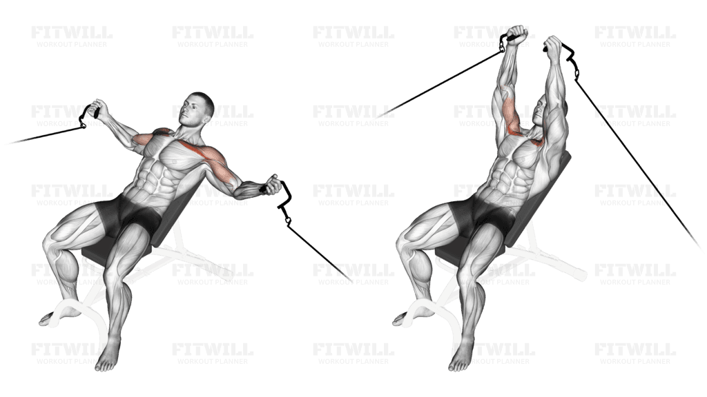 Cable Incline Fly