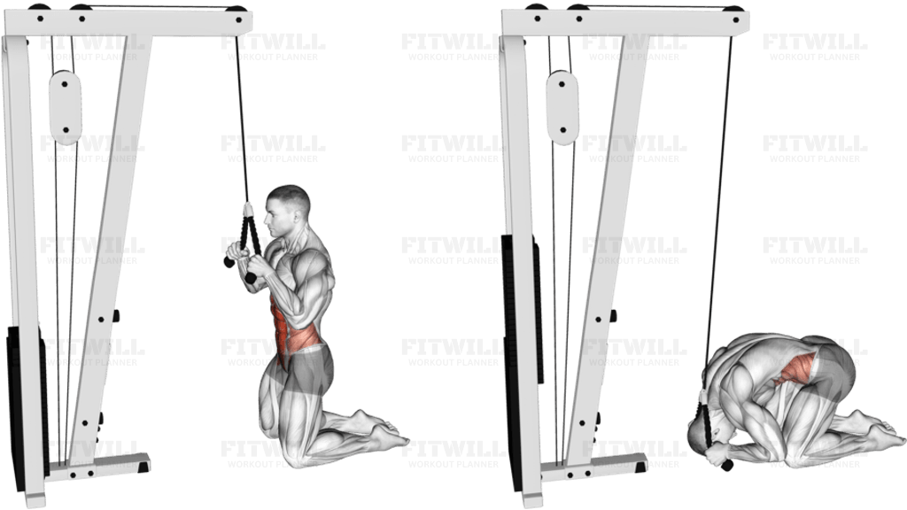 Cable Kneeling Crunch
