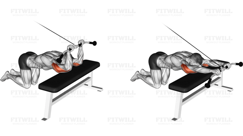 Cable Kneeling Triceps Extension