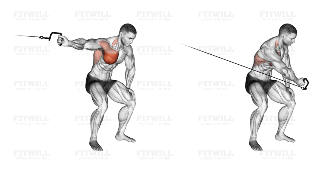 Cable One Arm Lateral Bent-over (R)