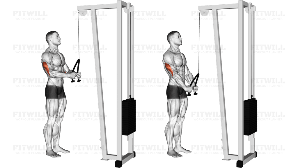 Cable Rope Pushdown