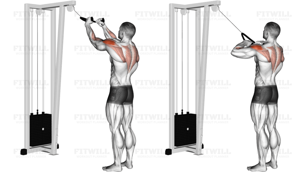 Cable Rear Delt Row (with rope)