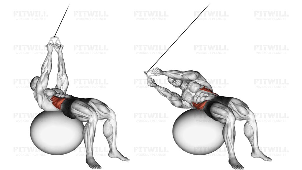 Cable Russian Twists (on stability ball)