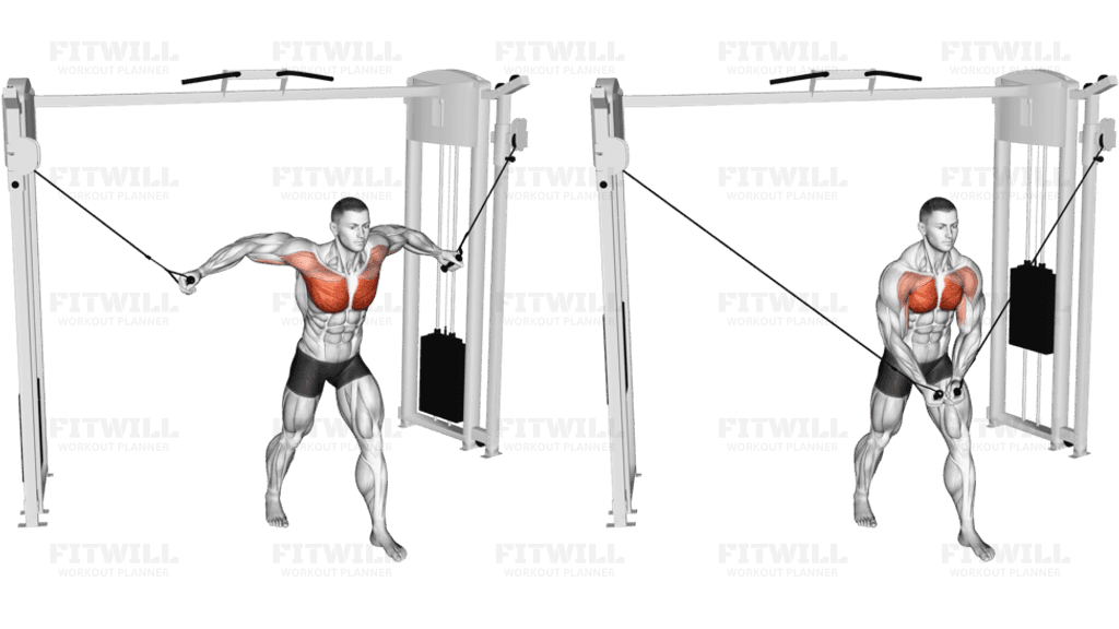 Cable Standing Fly