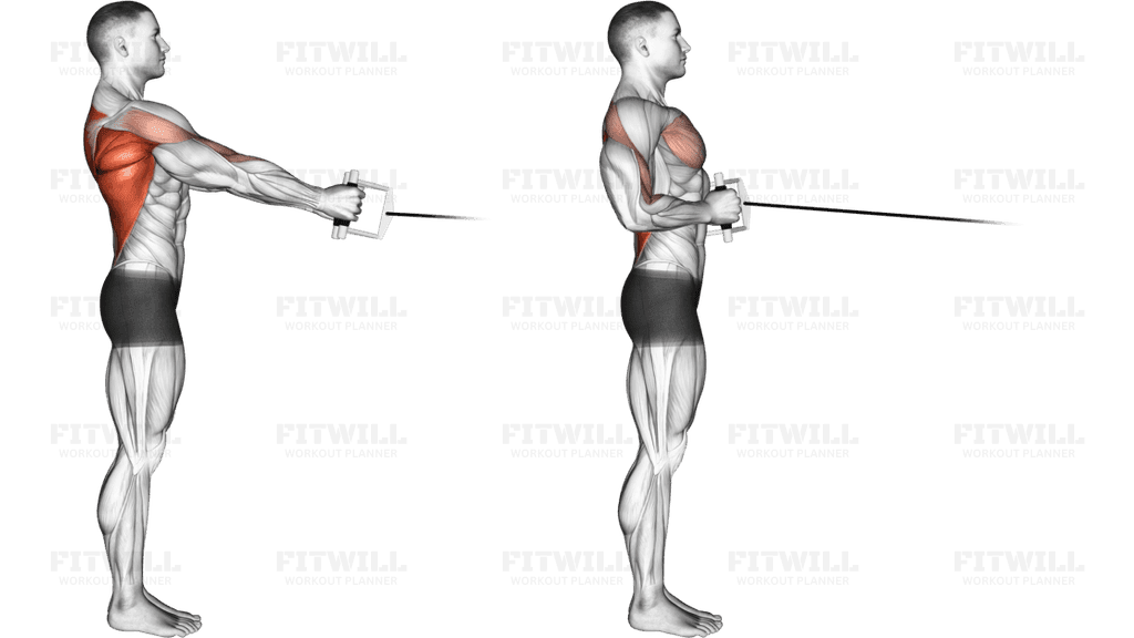 Cable Standing Row (V-bar)