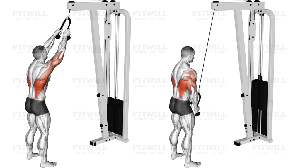 Cable Straight Arm Pulldown (with rope)