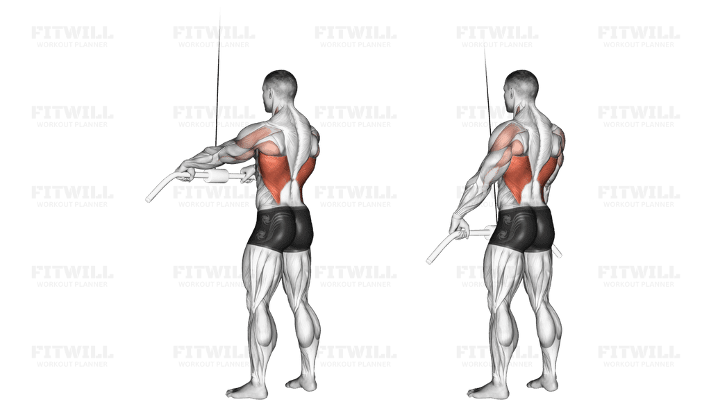 Cable Straight Arm Pulldown