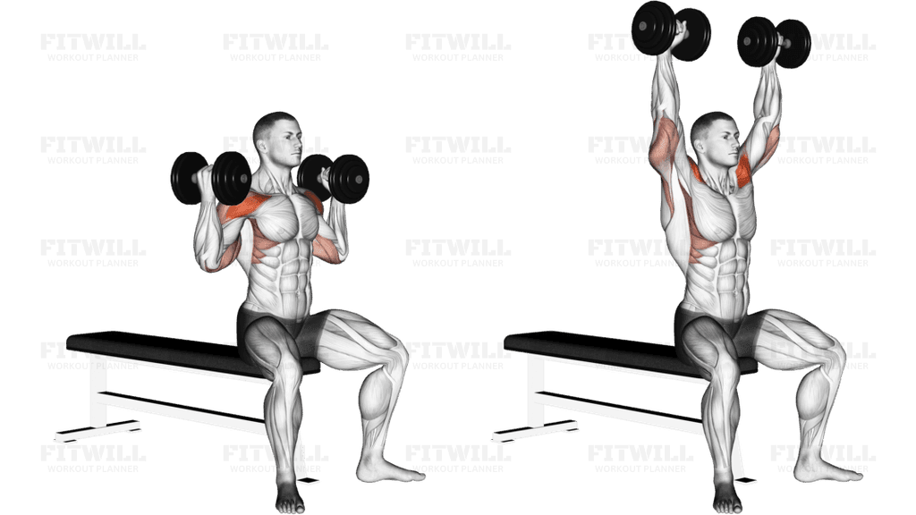 Dumbbell Arnold Press (version 2)