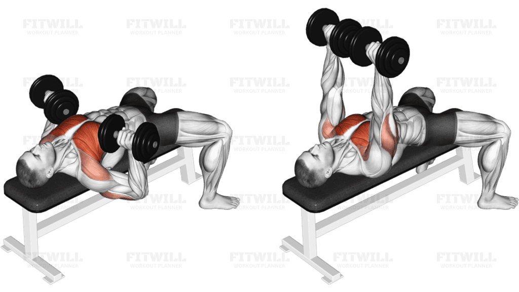 Dumbbell Bench Press