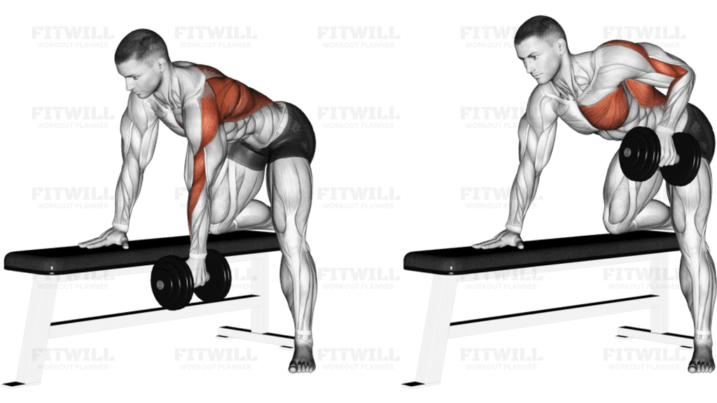 Dumbbell Row