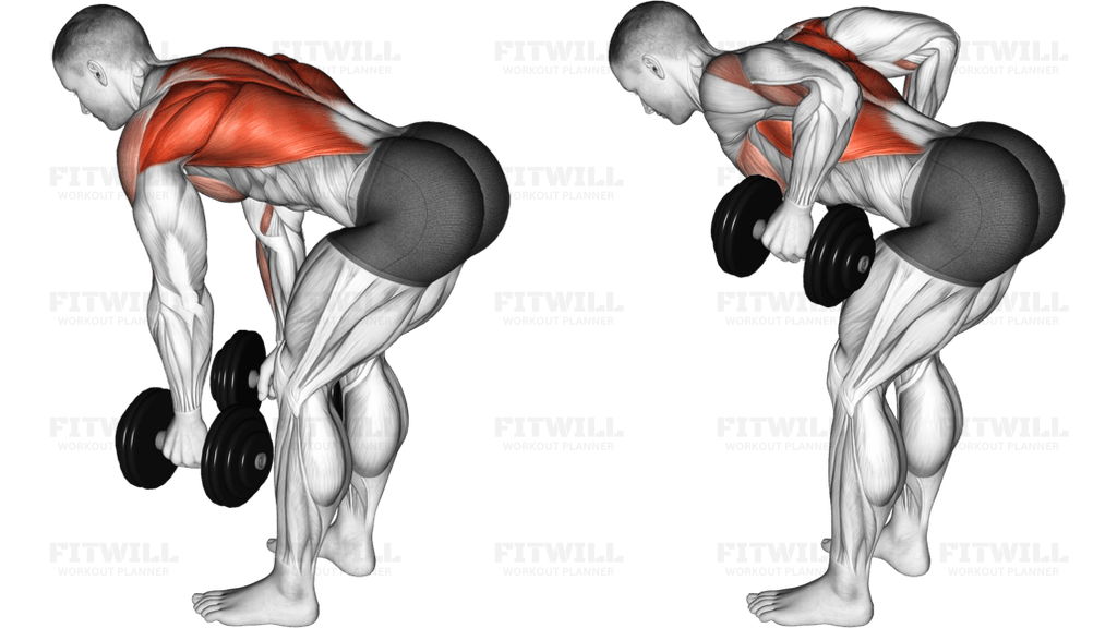 Dumbbell Bent Over Row